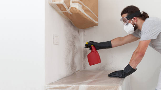 Professional Bathroom Mold Removal technician working in Decatur, IL