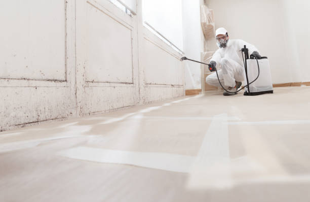 24/7 Emergency Bathroom Mold Removal experts in Decatur, IL